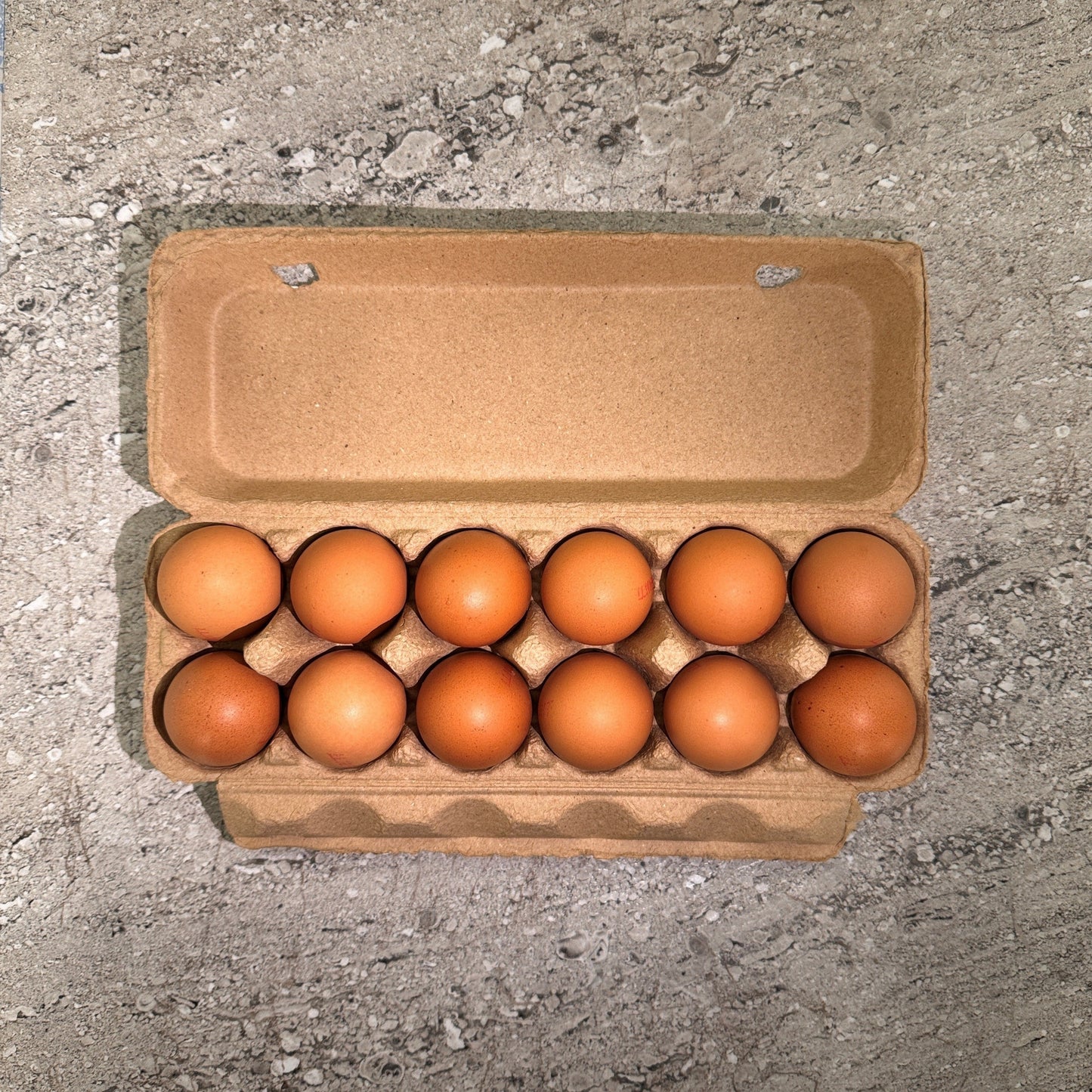 Llandilo Farm Fresh Eggs - 700 grams