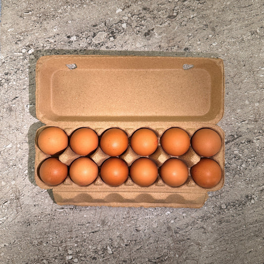 Llandilo Farm Fresh Eggs - 700 grams