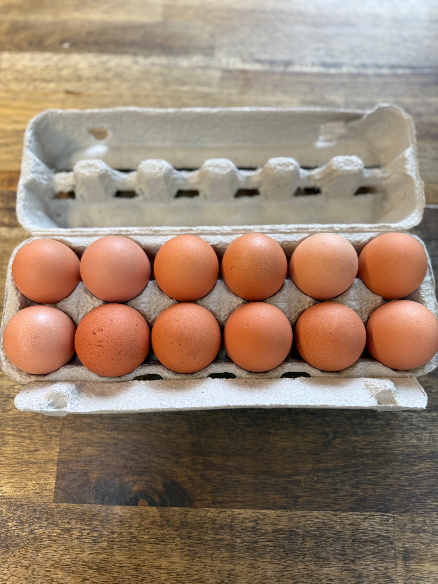 Fresh Eggs