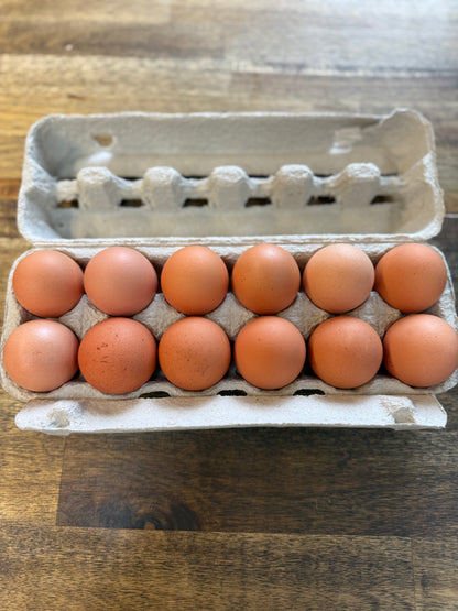 Fresh Eggs