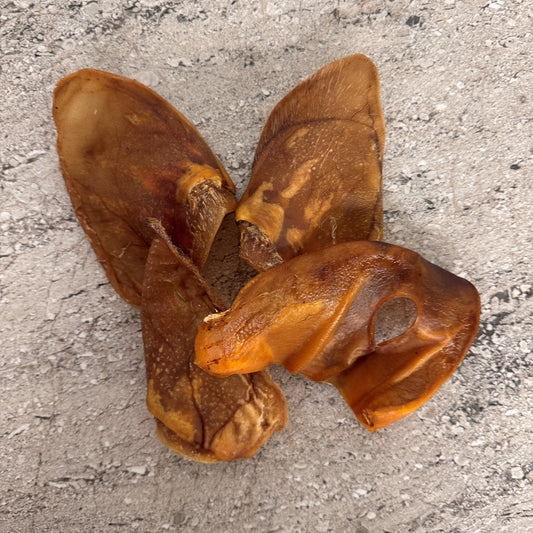 Pigs' Ears for Your Dog - each