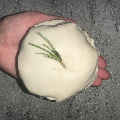 NEW ITEM: Humble Beef Wellington - each